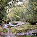 P19.jpg