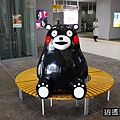 P15.jpg