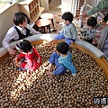 P42.jpg