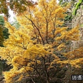 P06.jpg