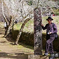 P09.jpg