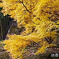 P08.jpg
