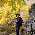 P13.jpg