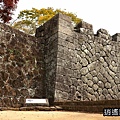 P14.jpg
