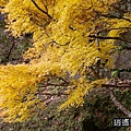 P23.jpg