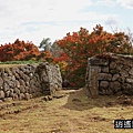P29.jpg