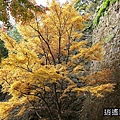 P32.jpg