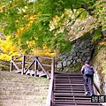 P31.jpg