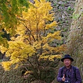 P43.jpg