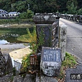 P10.jpg