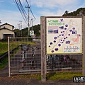 P23.jpg
