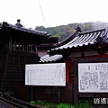 P11.jpg