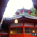 P15.jpg