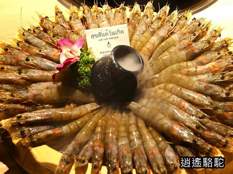 泰滾泰式火鍋壽星幾歲送幾隻蝦-美食駱駝