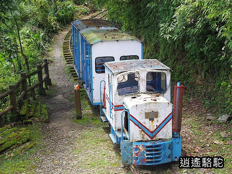 蹦蹦車的告白(池南國家森林遊樂區)-花蓮駱駝