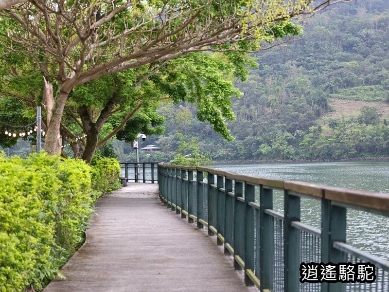鯉魚潭輕鬆走一回-以花蓮駱駝