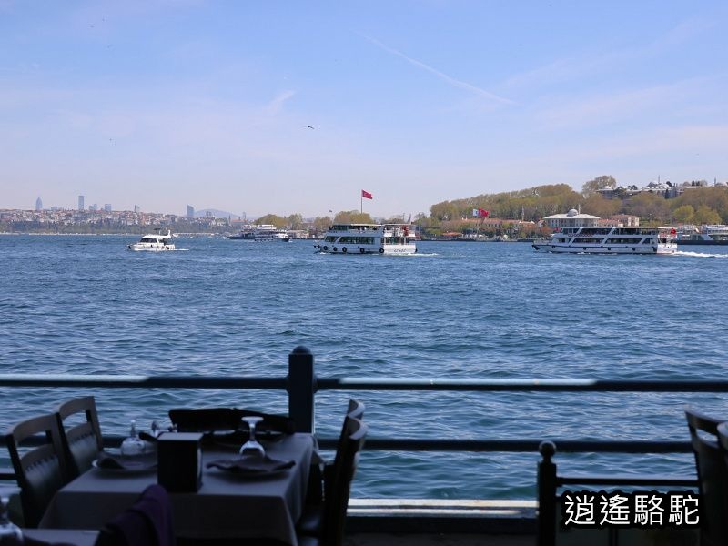 新加拉塔大橋下MARMARA BALIK餐廳-土耳其駱駝