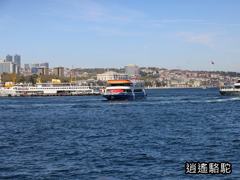 博斯普魯斯海峽遊船-土耳其駱駝