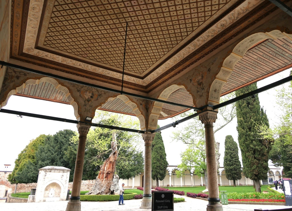 托普卡匹皇宮-土耳其駱駝