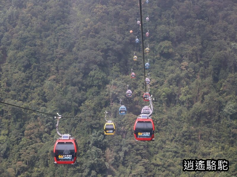 日月潭纜車-南投駱駝