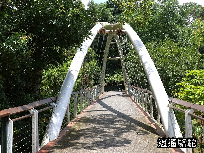 永結同心橋-南投駱駝