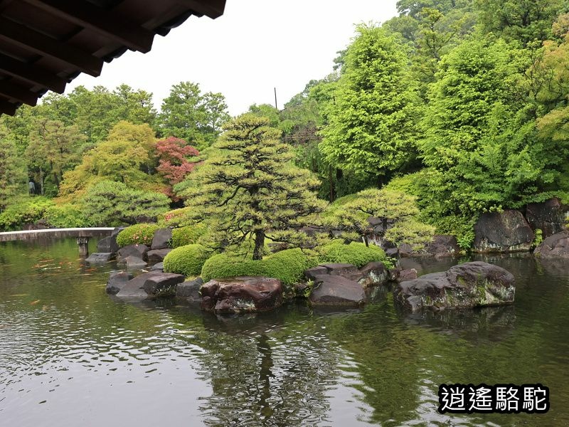 家老屋敷跡公園-日本駱駝