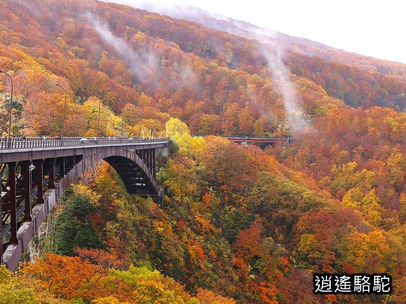 城倉大橋寫真-日本駱駝