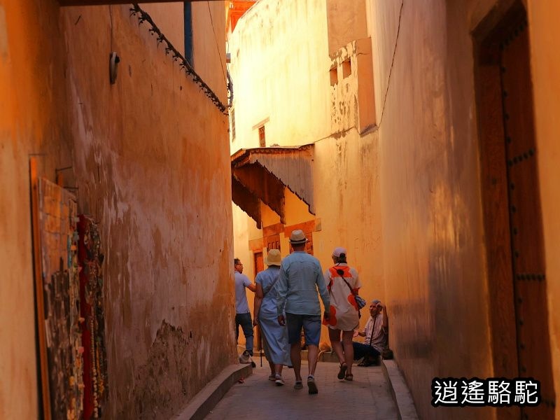菲斯老城區(Medina of Fès)-摩洛哥駱駝