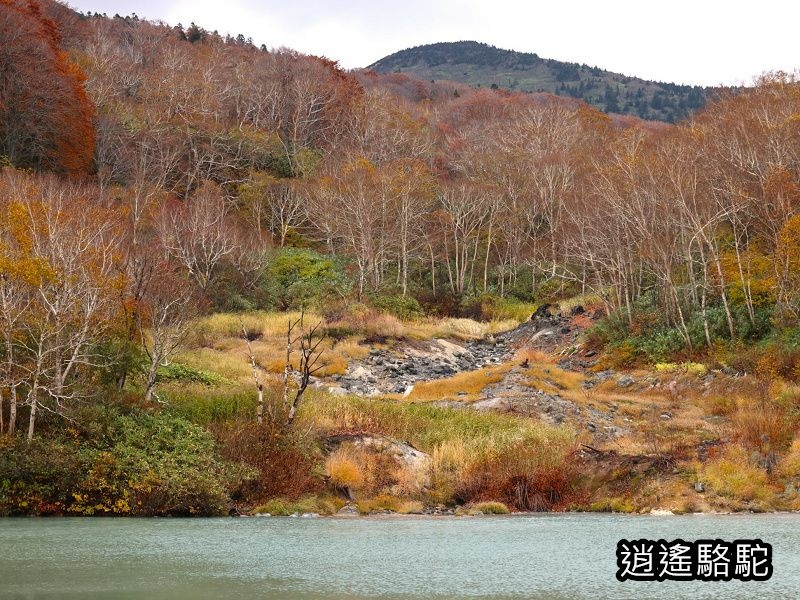 地獄沼-日本駱駝