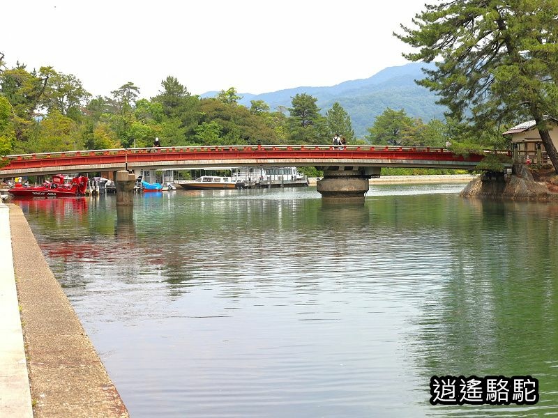 小天橋(迴旋橋)-日本駱駝