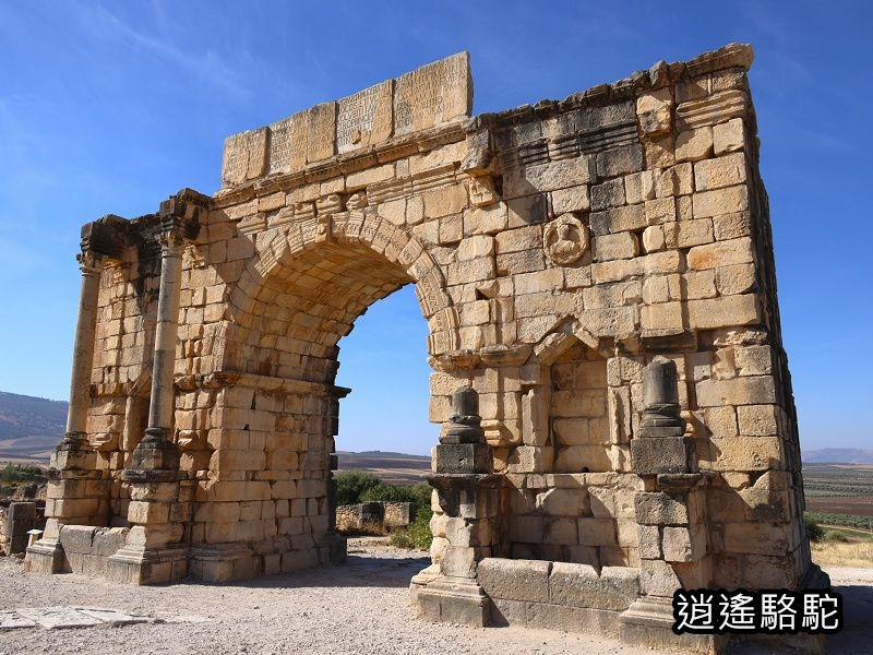 瓦盧比利斯Volubilis-摩洛哥駱駝