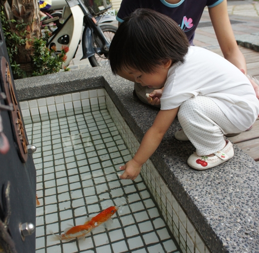 餵魚.JPG