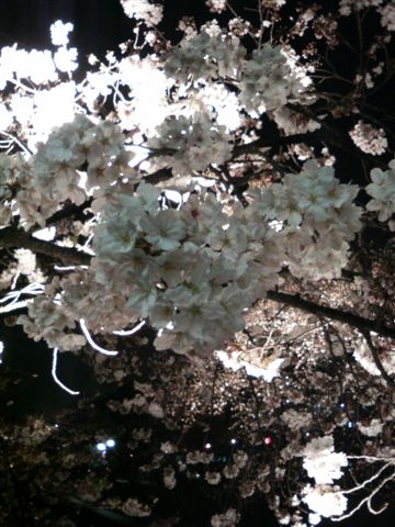 200704020050000.jpg