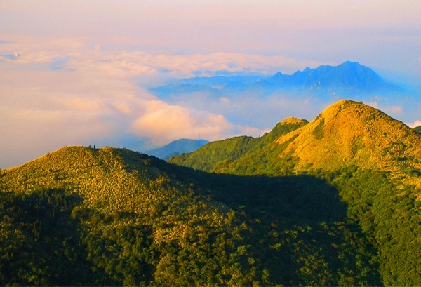 13陽明山上管芒花飄飛舞秋風