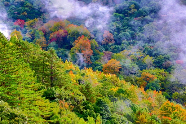 15秋在山巒上  一