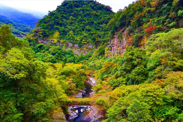 5尖石鄉錦屏村 在峽谷與雲端賞楓   一