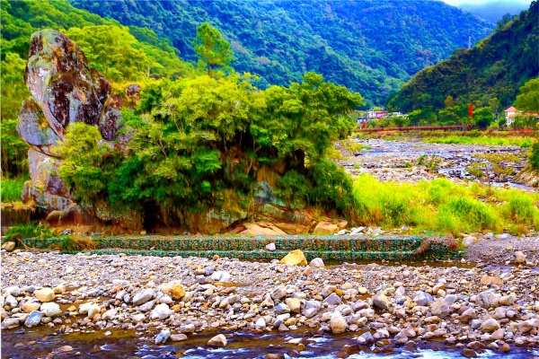 1尖石鄉錦屏村 在峽谷與雲端賞楓   一