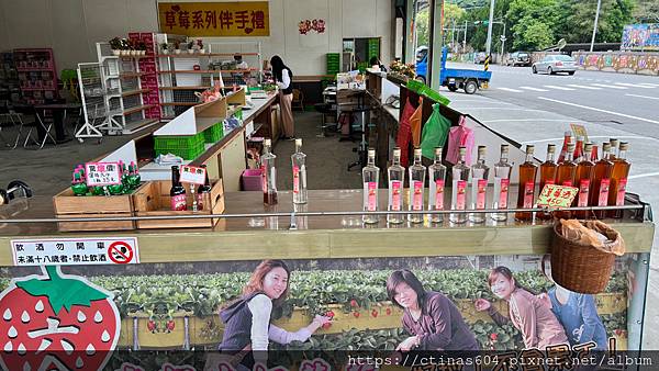 「苗栗。遊記」六合高架牛奶草莓園，苗栗大湖農工之旅，體驗採草莓樂趣又不傷腰
