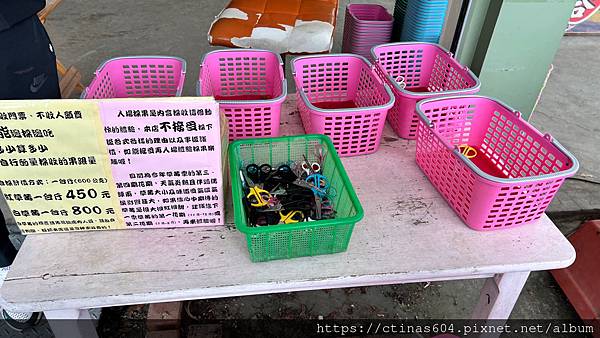 「苗栗。遊記」六合高架牛奶草莓園，苗栗大湖農工之旅，體驗採草莓樂趣又不傷腰