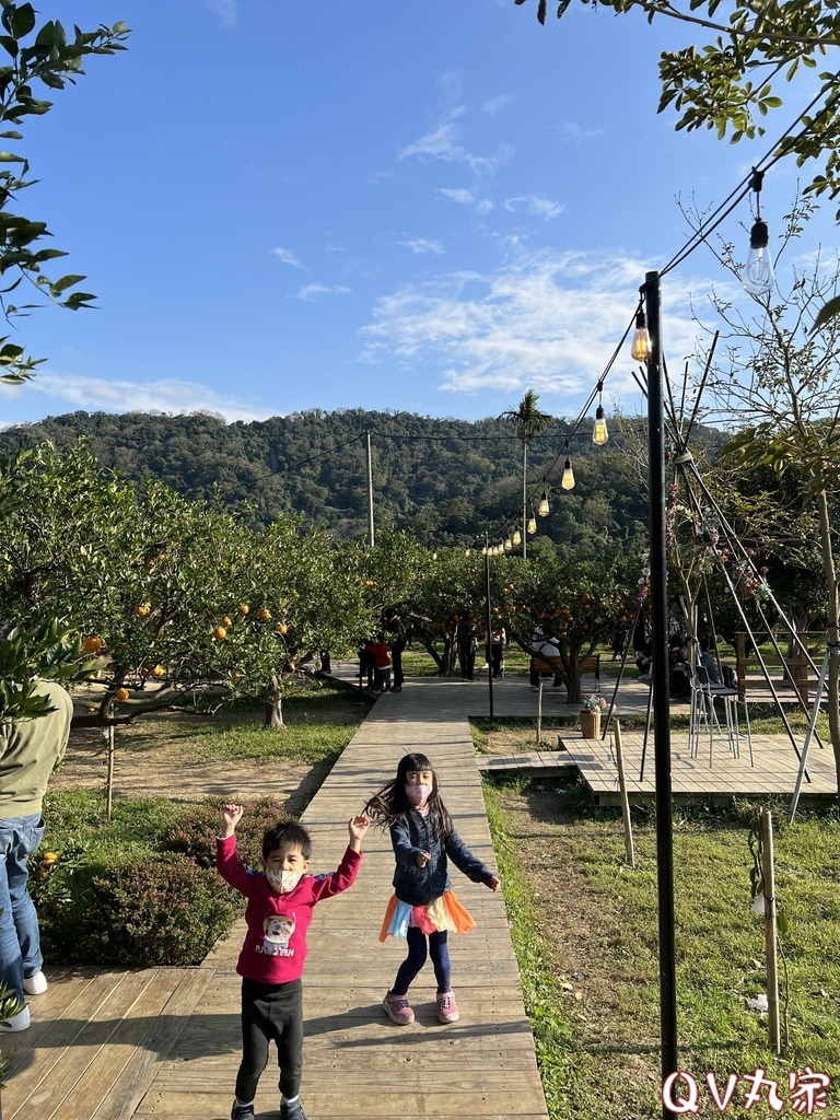 「苗栗。遊記」橙香森林，苗栗頭屋網美拍照打卡景點，玻璃屋餐廳