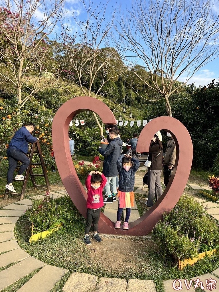 「苗栗。遊記」橙香森林，苗栗頭屋網美拍照打卡景點，玻璃屋餐廳