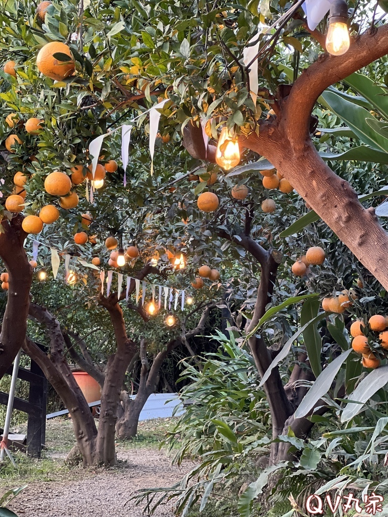 「苗栗。遊記」橙香森林，苗栗頭屋網美拍照打卡景點，玻璃屋餐廳
