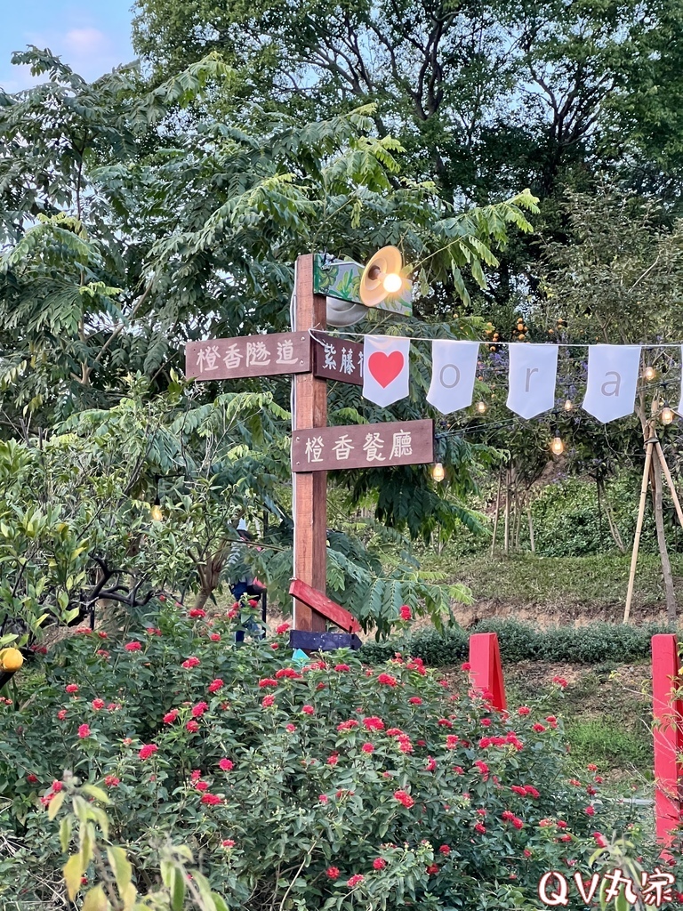 「苗栗。遊記」橙香森林，苗栗頭屋網美拍照打卡景點，玻璃屋餐廳