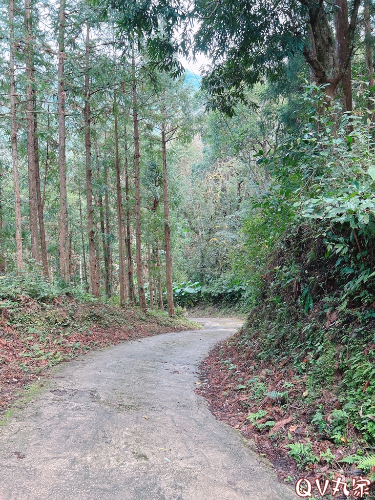 「新竹。露營」森林海露營區，新竹尖石高海拔，超美山林營地，夜