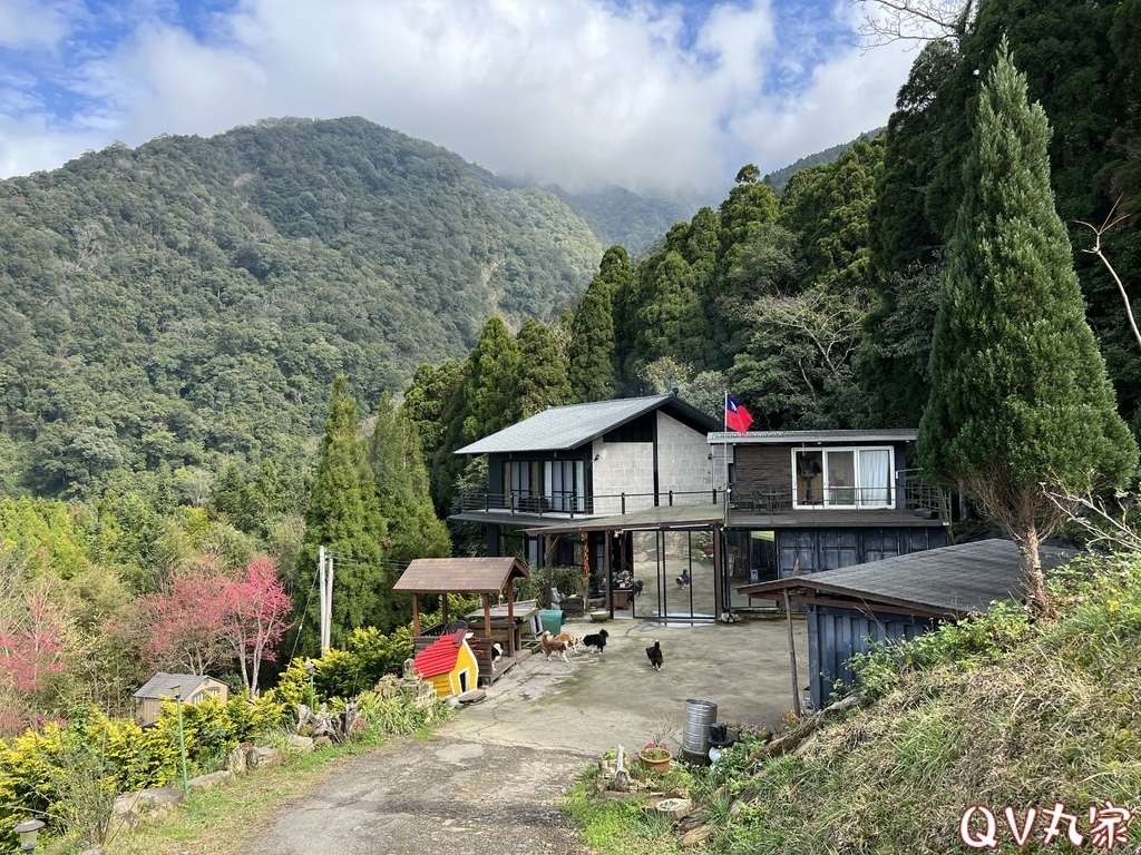 「新竹。露營」森林海露營區，新竹尖石高海拔，超美山林營地，夜