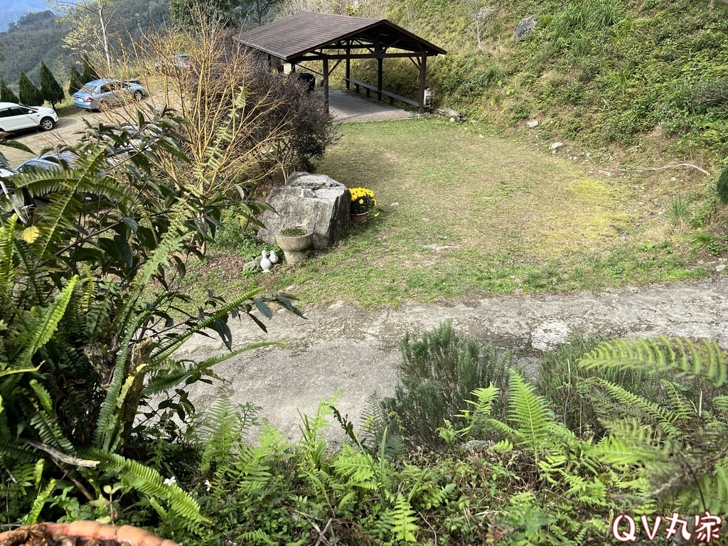 「新竹。露營」森林海露營區，新竹尖石高海拔，超美山林營地，夜