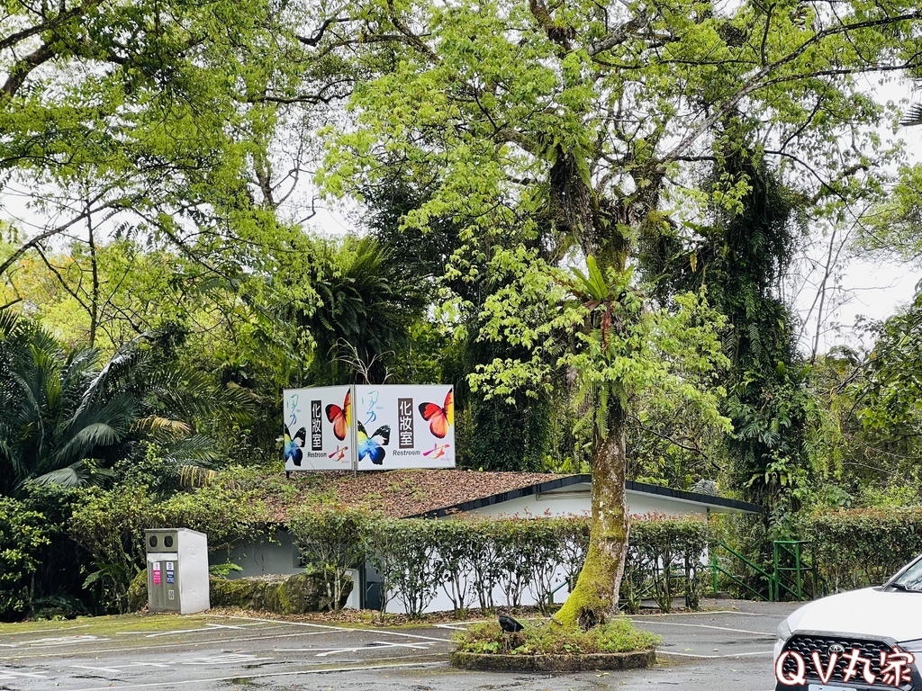 「花蓮。遊記」富源溫泉遊樂區，蝴蝶谷溫泉渡假村，走天然森林景