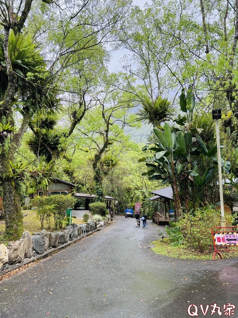 「花蓮。遊記」富源溫泉遊樂區，蝴蝶谷溫泉渡假村，走天然森林景