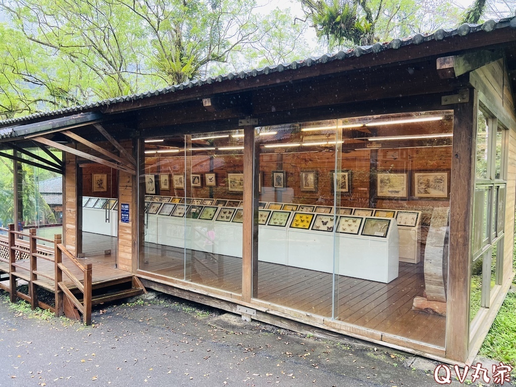 「花蓮。遊記」富源溫泉遊樂區，蝴蝶谷溫泉渡假村，走天然森林景