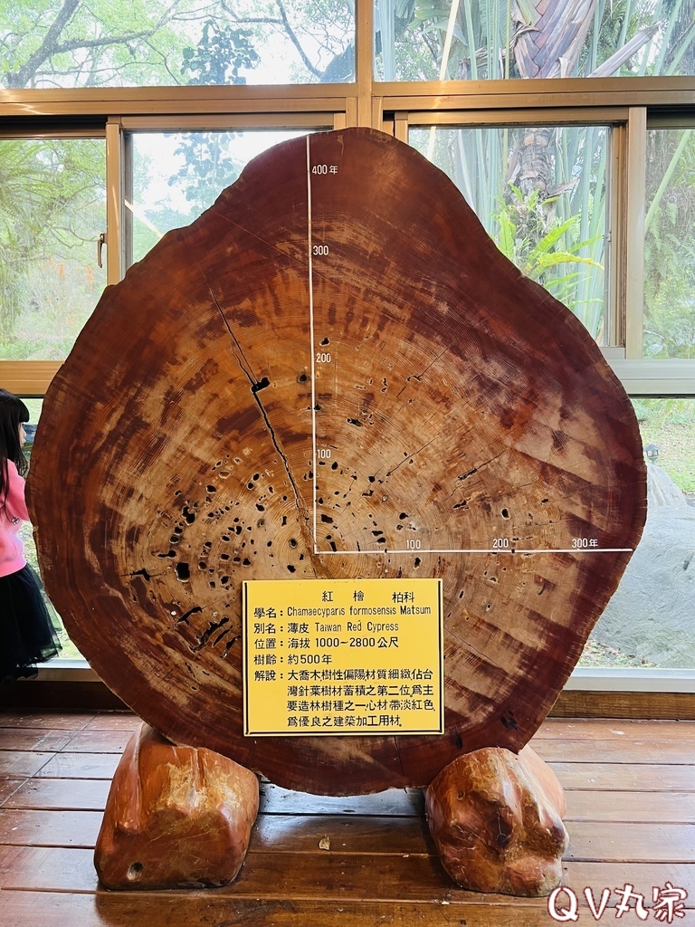 「花蓮。遊記」富源溫泉遊樂區，蝴蝶谷溫泉渡假村，走天然森林景